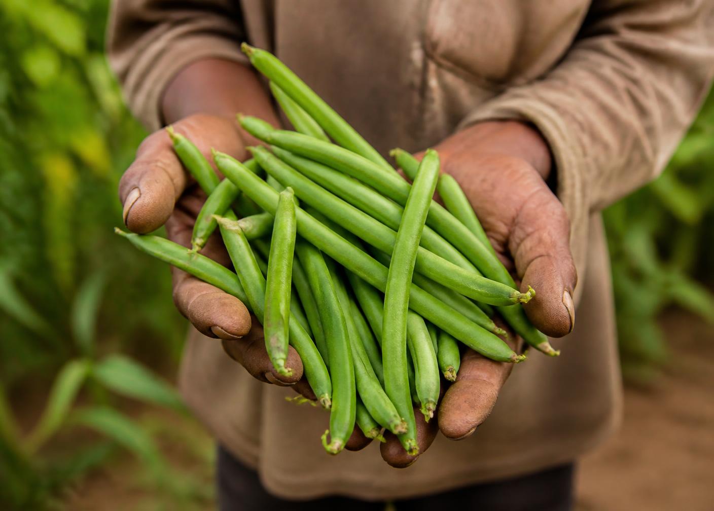 Producteur de vanille à Madagascar